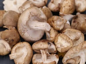 shiitake